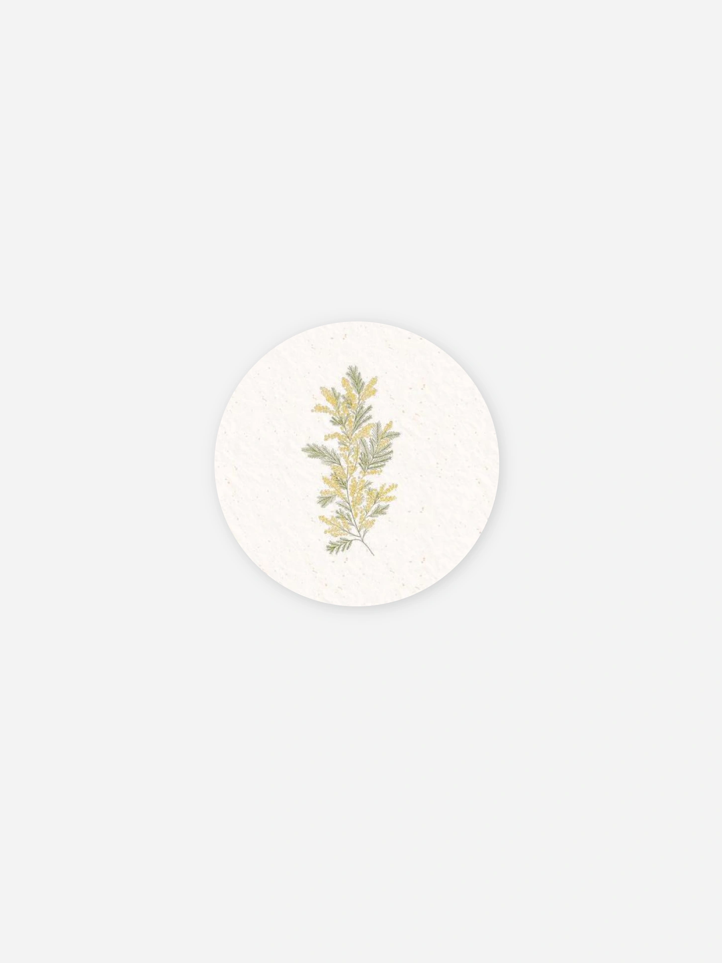 Stickers naissance Fleur de naissance - février