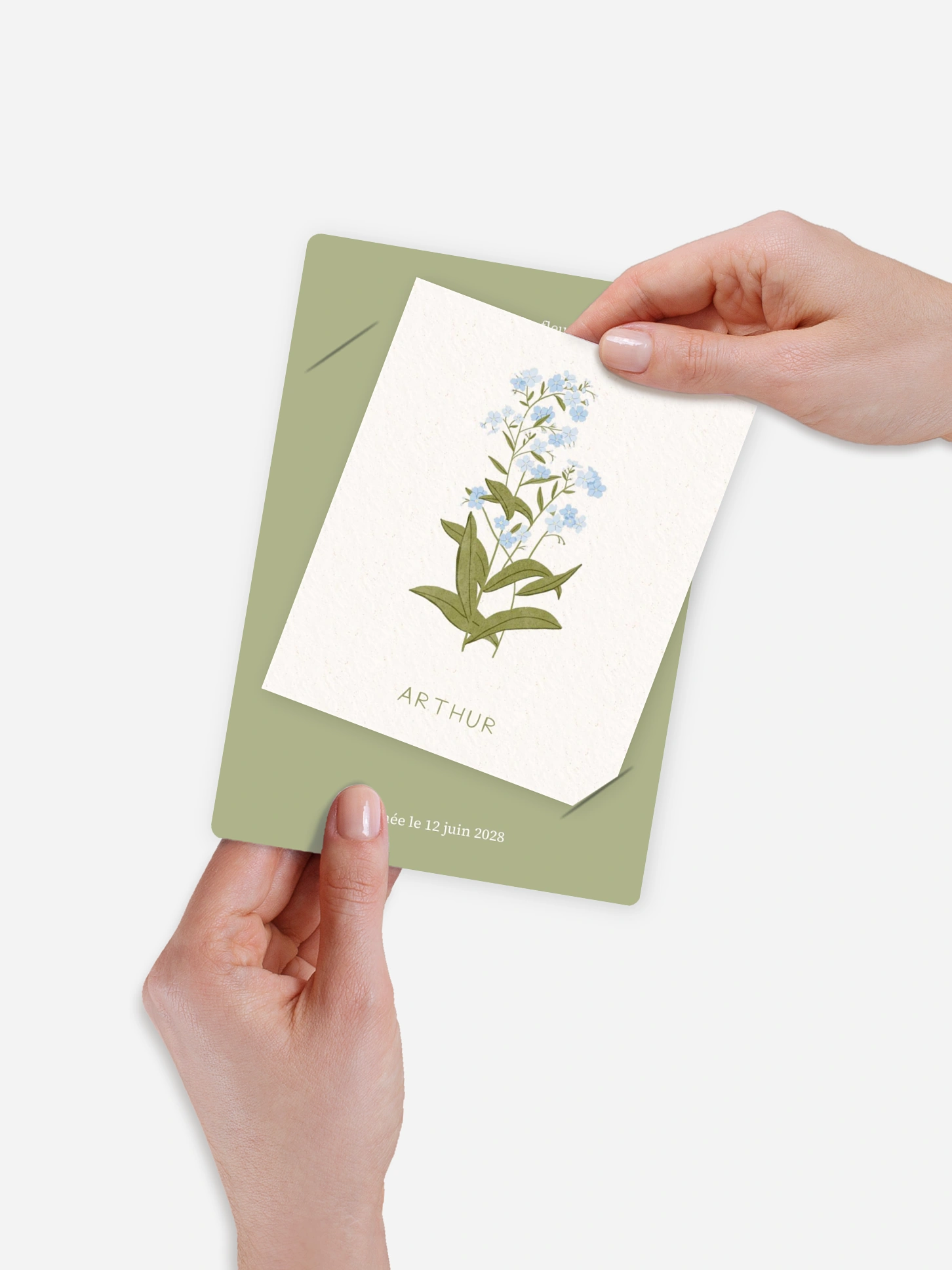 Faire-part naissance Fleur de naissance - juin