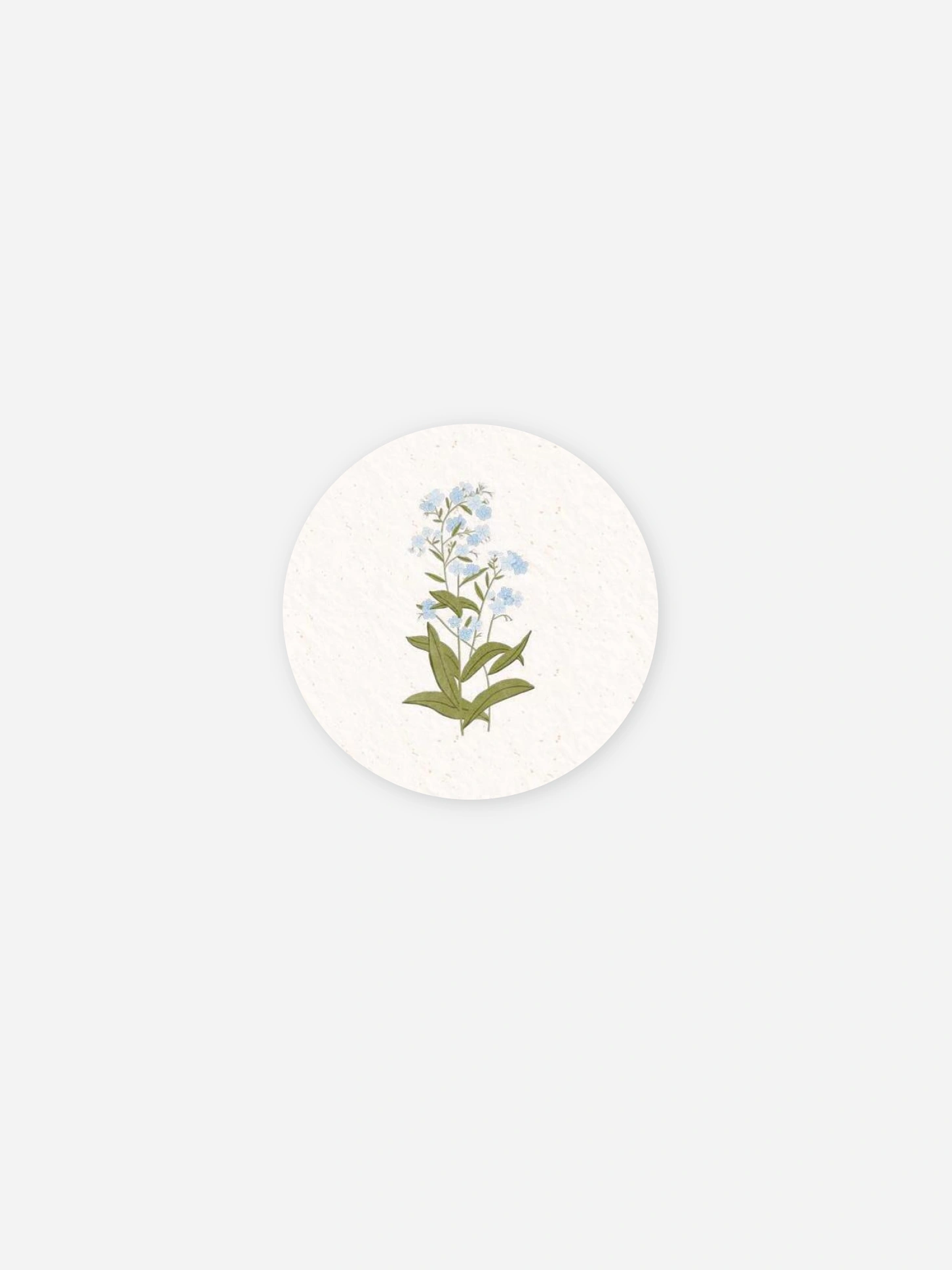 Stickers naissance Fleur de naissance - juin