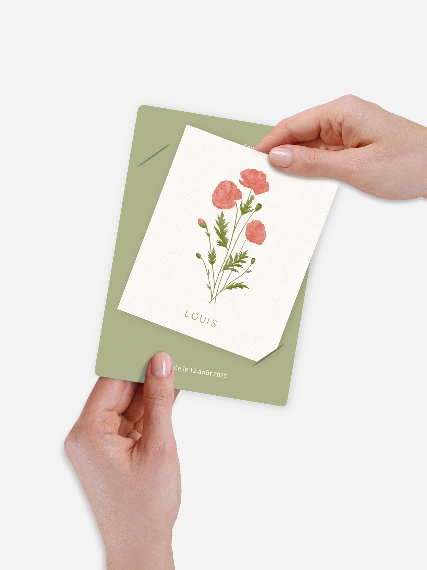 Faire-part naissance Fleur de naissance - août