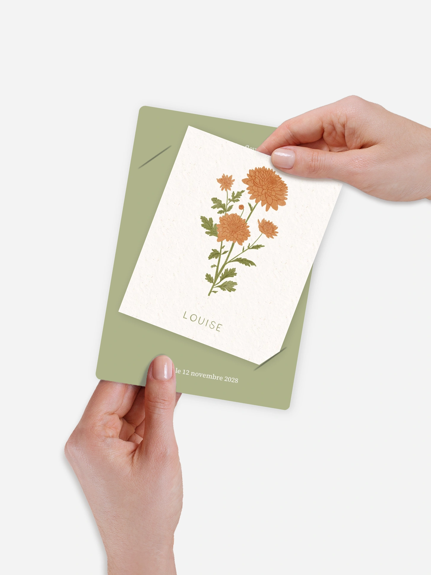 Faire-part naissance Fleur de naissance - novembre