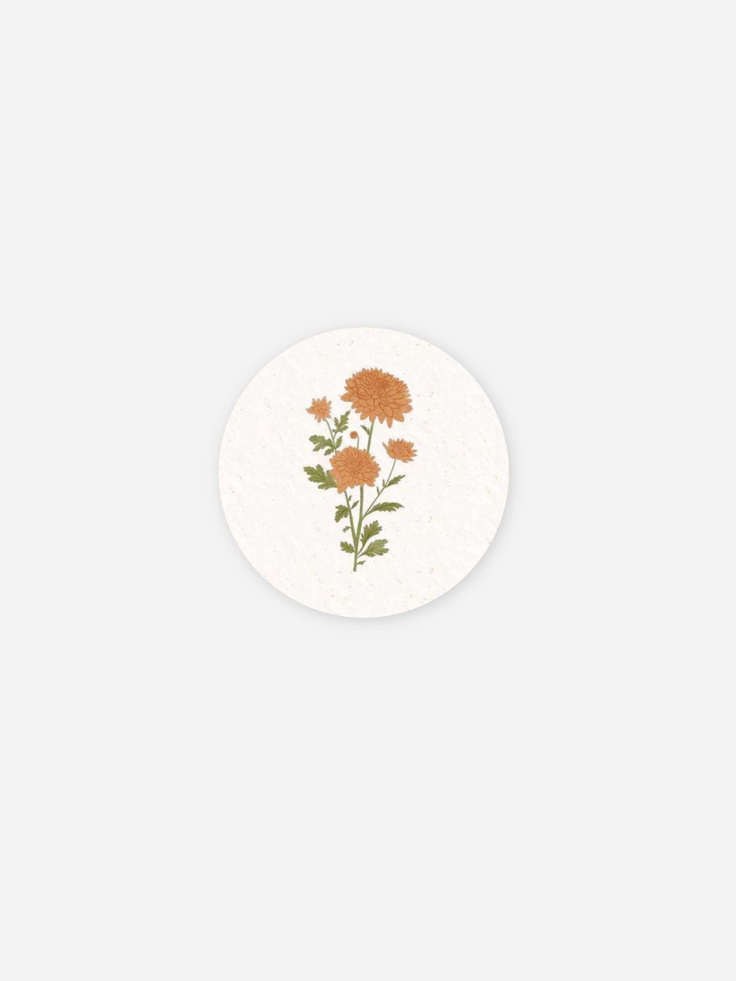 Stickers naissance Fleur de naissance - novembre
