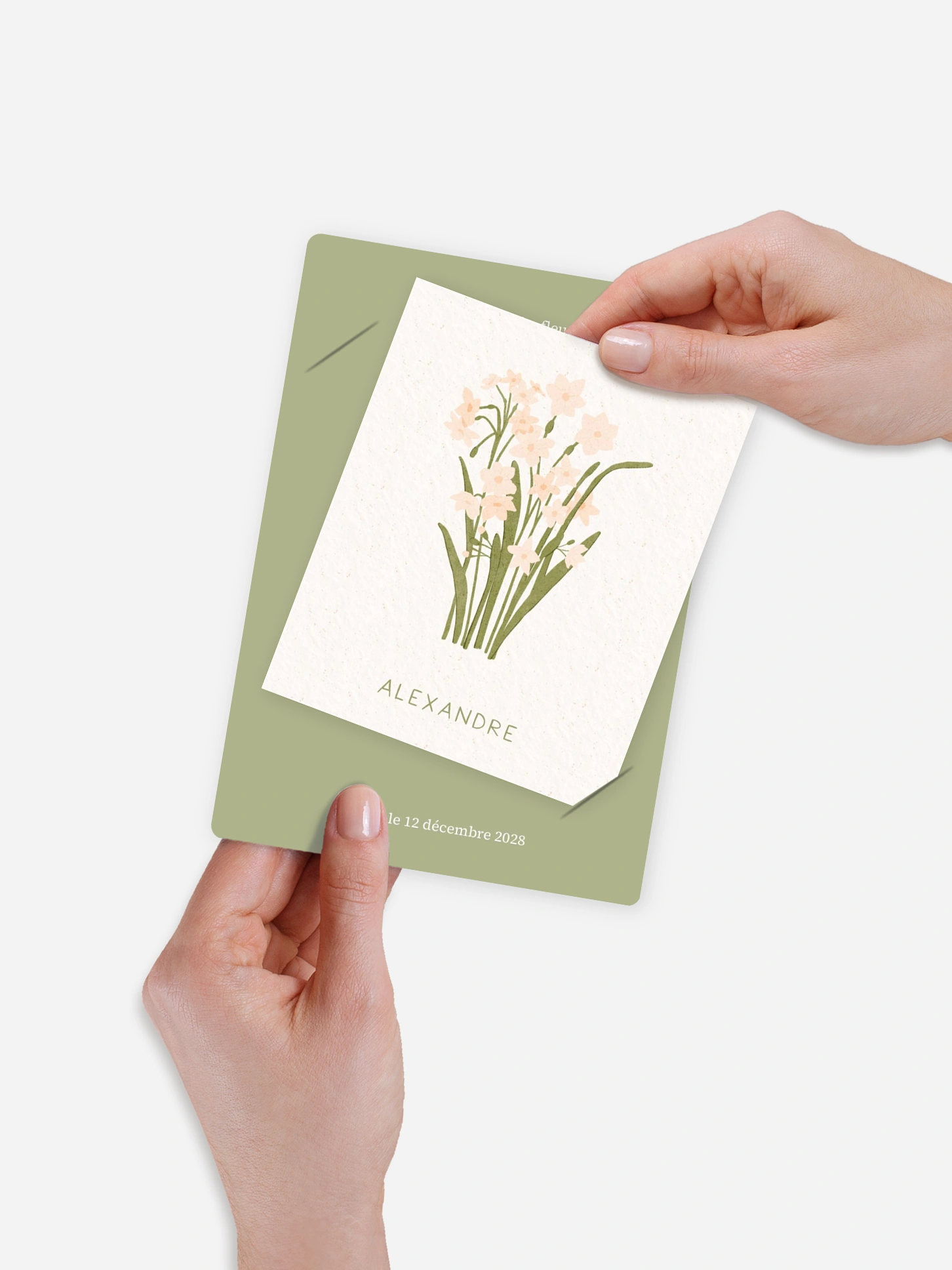 Faire-part naissance Fleur de naissance - décembre