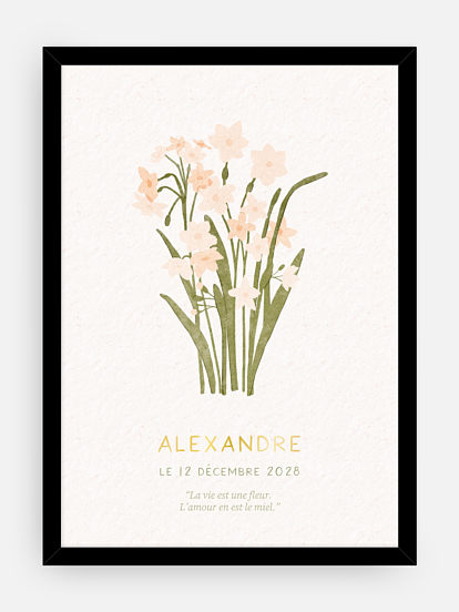 Affiche naissance Fleur de naissance - décembre