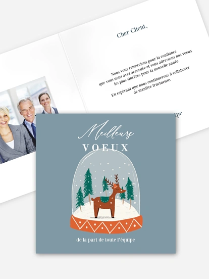 Boule à neige féerique