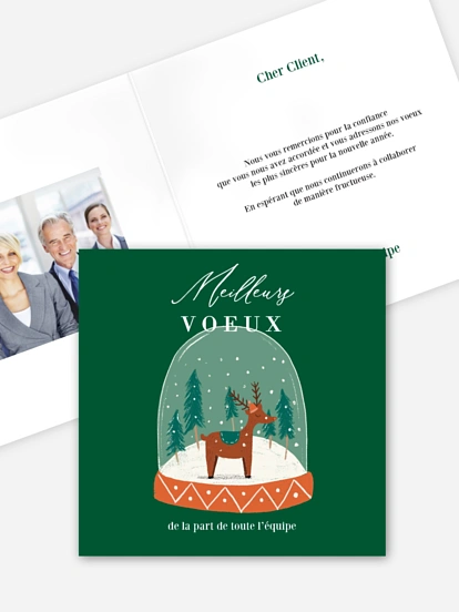 Boule à neige féerique