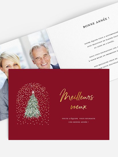 Carte de voeux entreprise Flocons et sapin