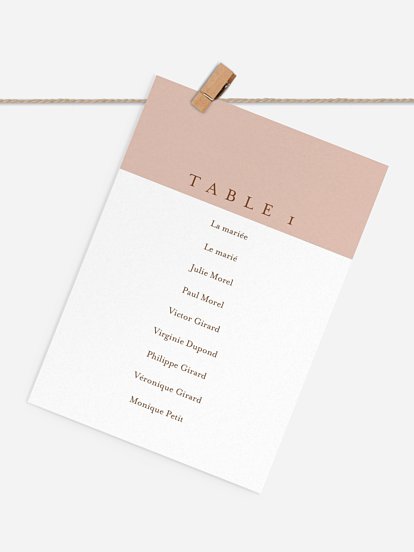 Cartons plan de table mariage Duo de couleurs