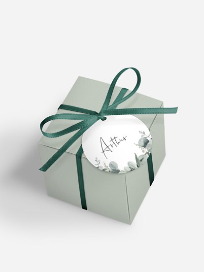 Boite à dragées baptême Eucalyptus Love