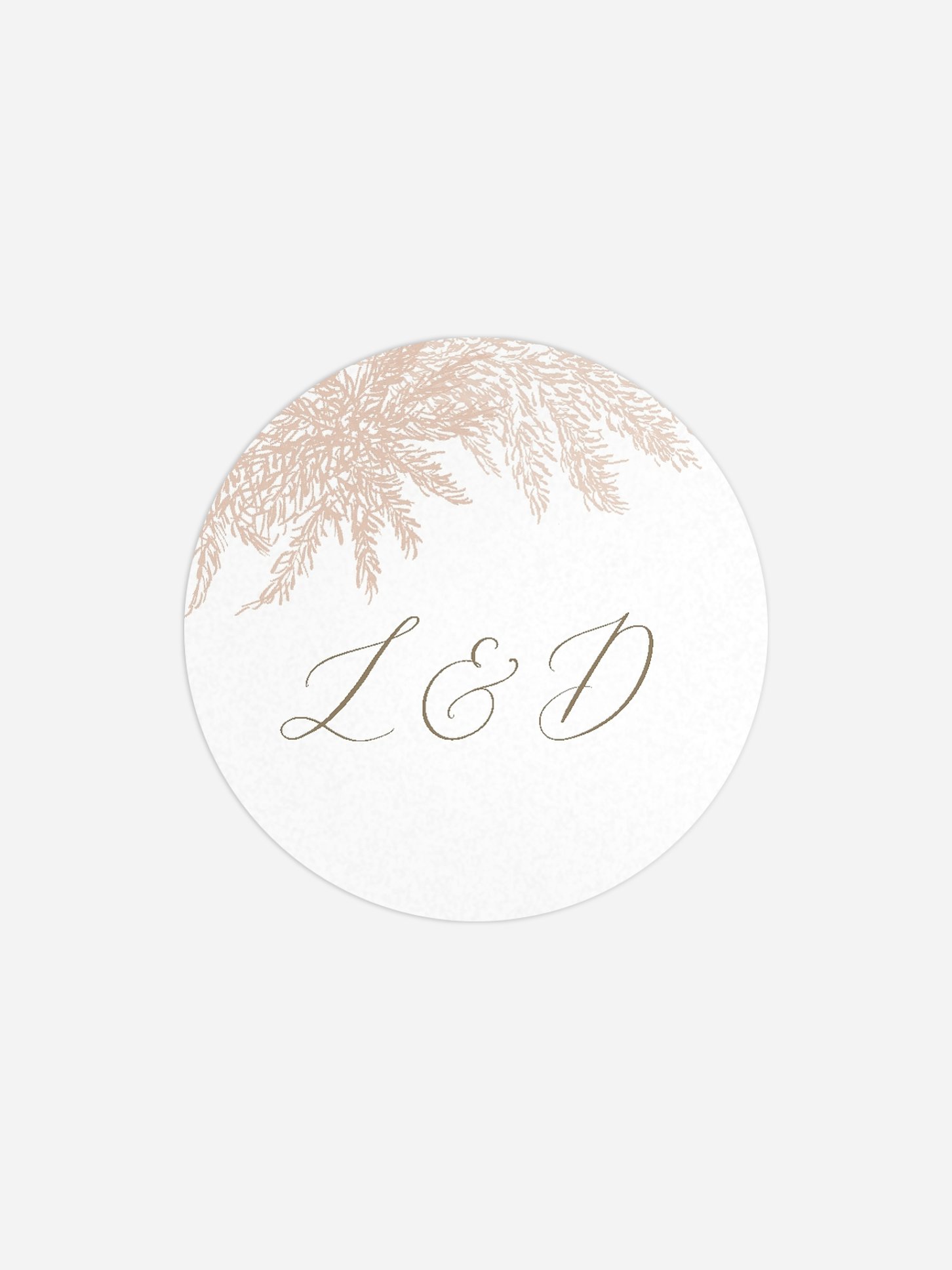 Étiquette cadeau mariage Blush Pampas