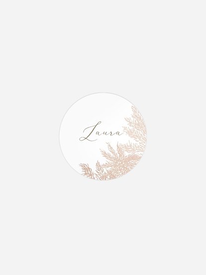Blush Pampas Blush Pampas