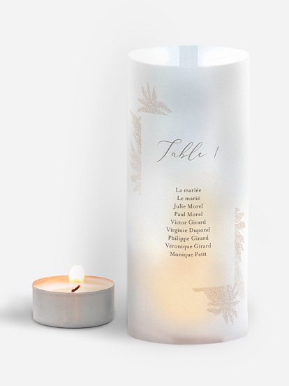 Nom de table mariage Blush Pampas