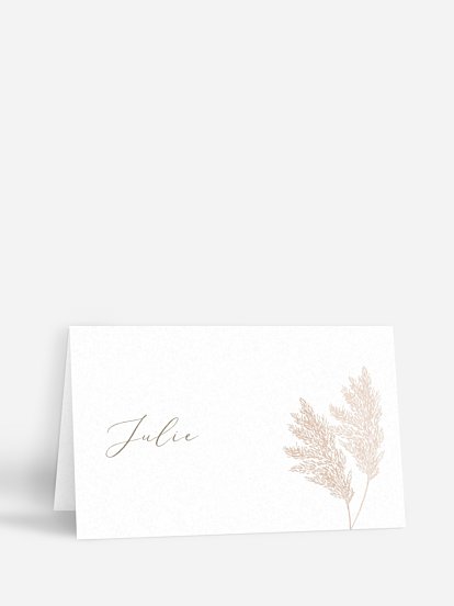 Blush Pampas Blush Pampas