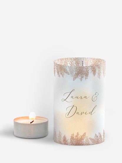 Blush Pampas Blush Pampas
