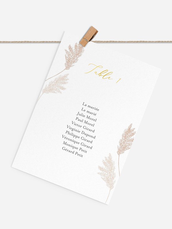 Blush Pampas