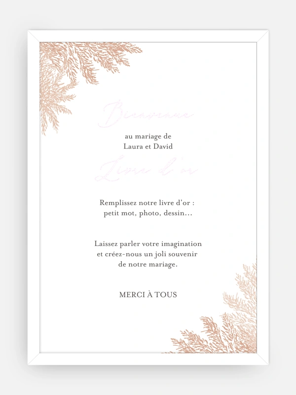 Blush Pampas