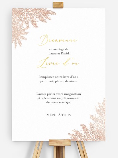 Blush Pampas Blush Pampas