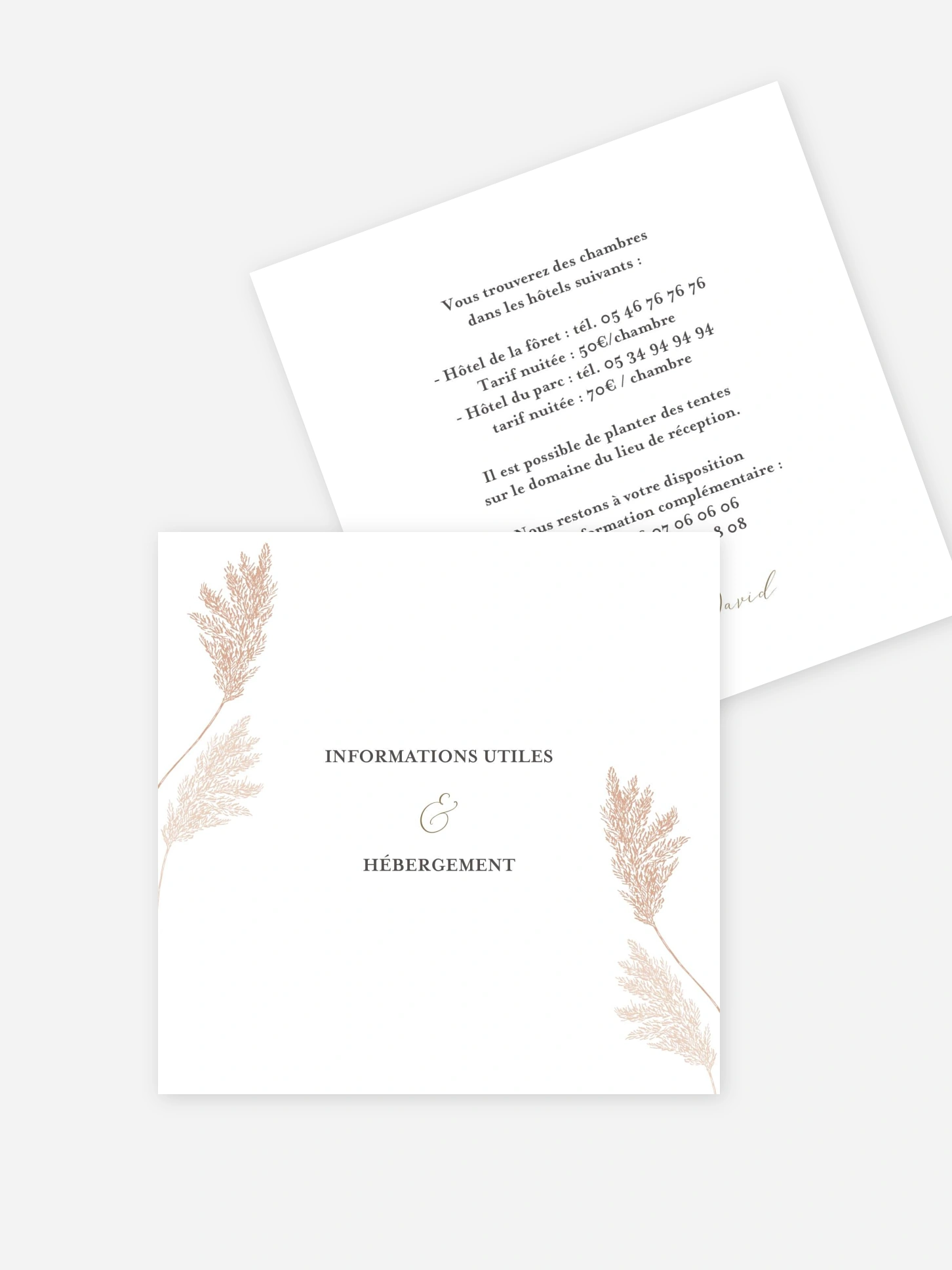 Carton information hébergement Blush Pampas