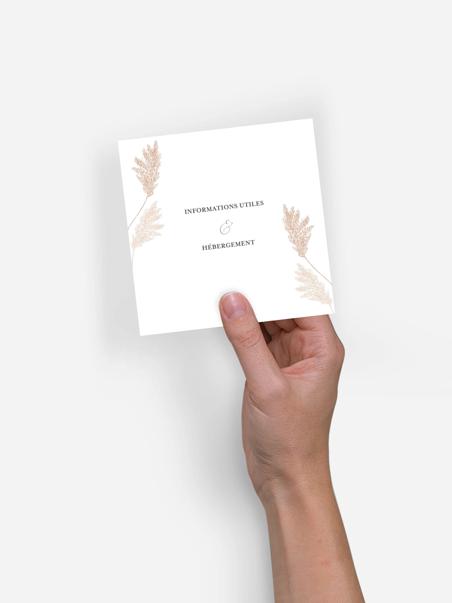 Carton information hébergement Blush Pampas