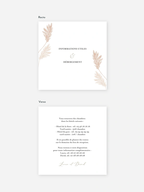 Carton information hébergement Blush Pampas