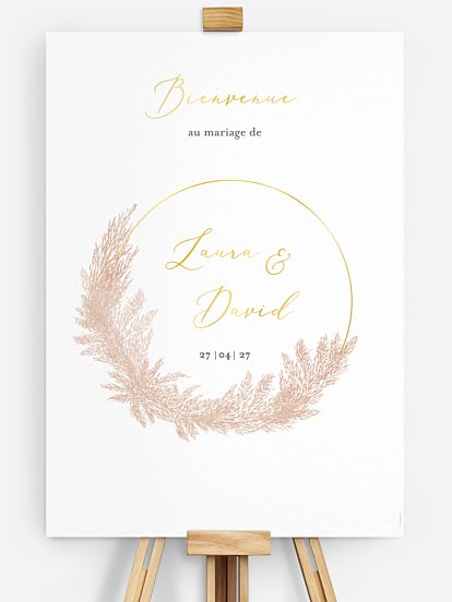 Blush Pampas Blush Pampas