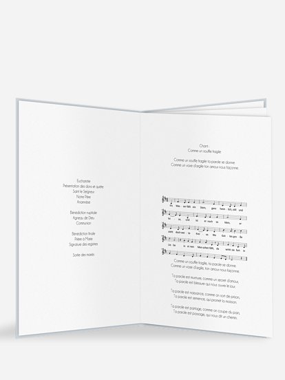8 pages 8 pages