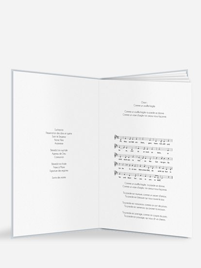 12 pages 12 pages