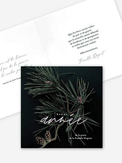 Carte de voeux Pommes de pin