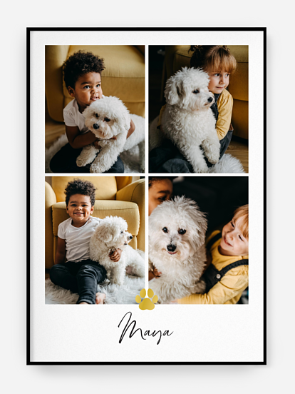 Affiche Patte de chien