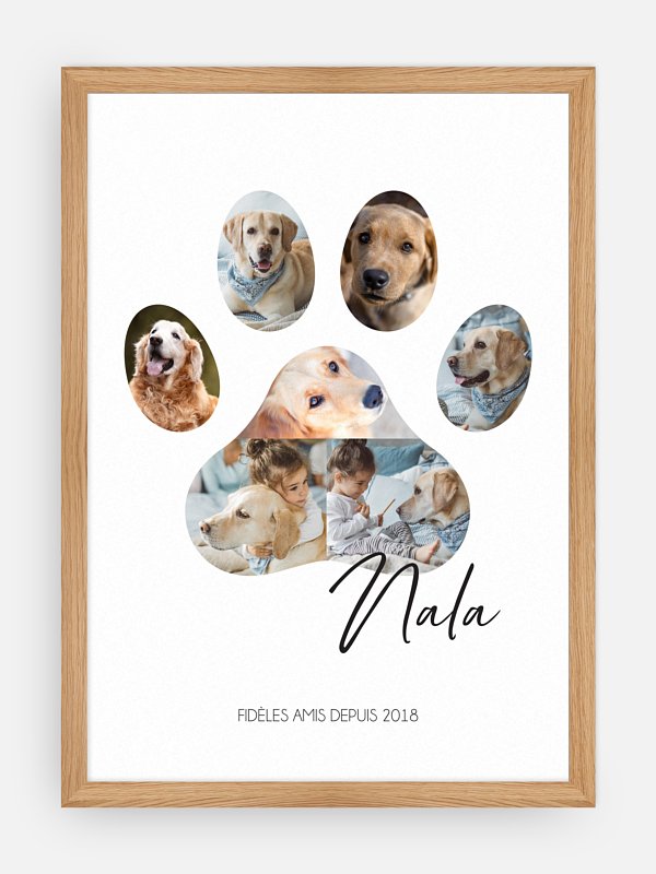 Patte de Chien II