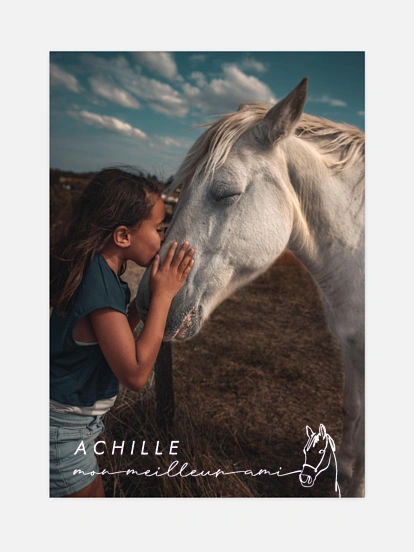 Affiche Complicité équine