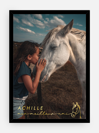 Affiche Complicité équine