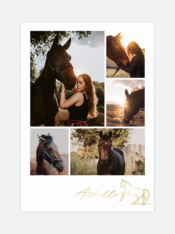 Photo collage chevaux