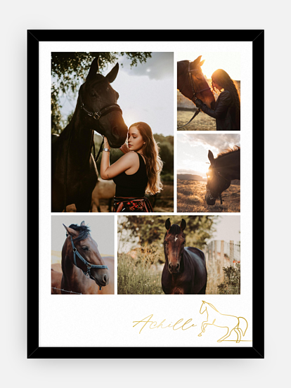 Affiche Photo collage chevaux