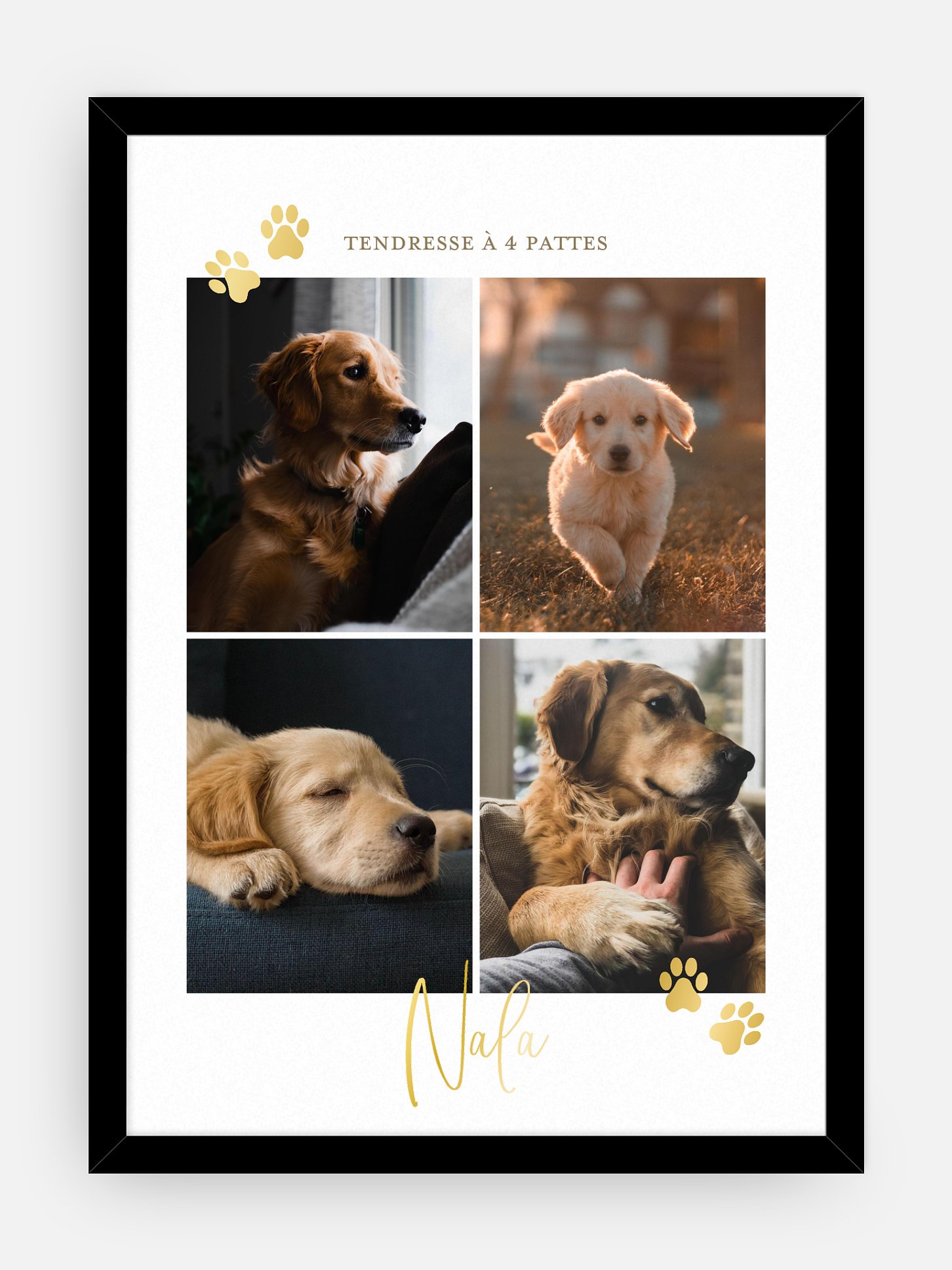 Affiche Pawfect Harmony