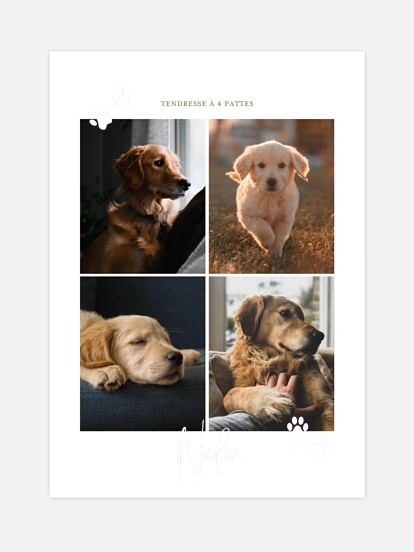 Affiche Pawfect Harmony