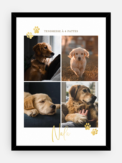 Affiche Pawfect Harmony