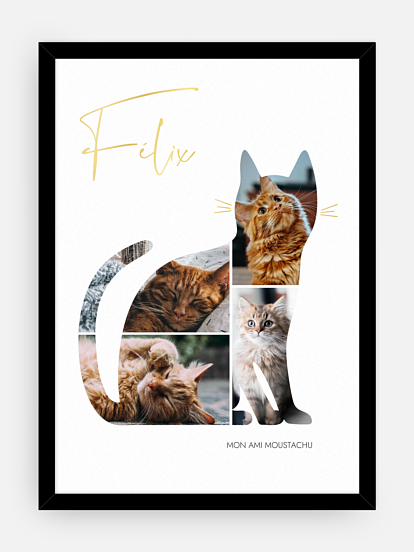 Affiche Photo collage chat