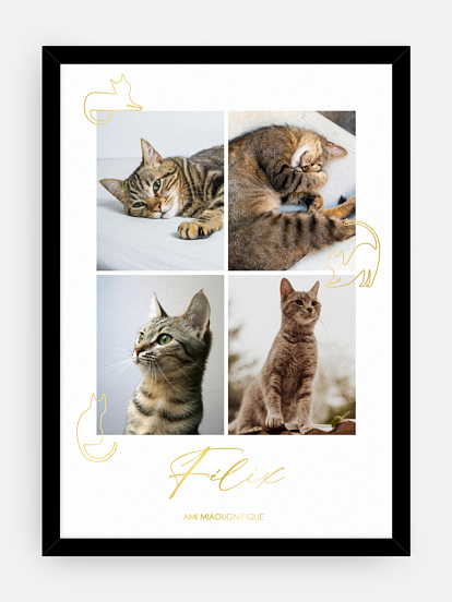 Affiche Un amour de félin