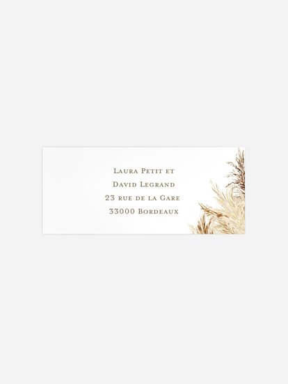 Amour précieux pampas Amour précieux pampas