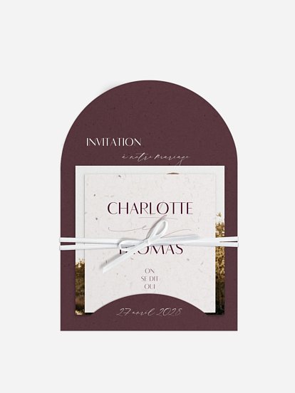 Élégance manuscrite