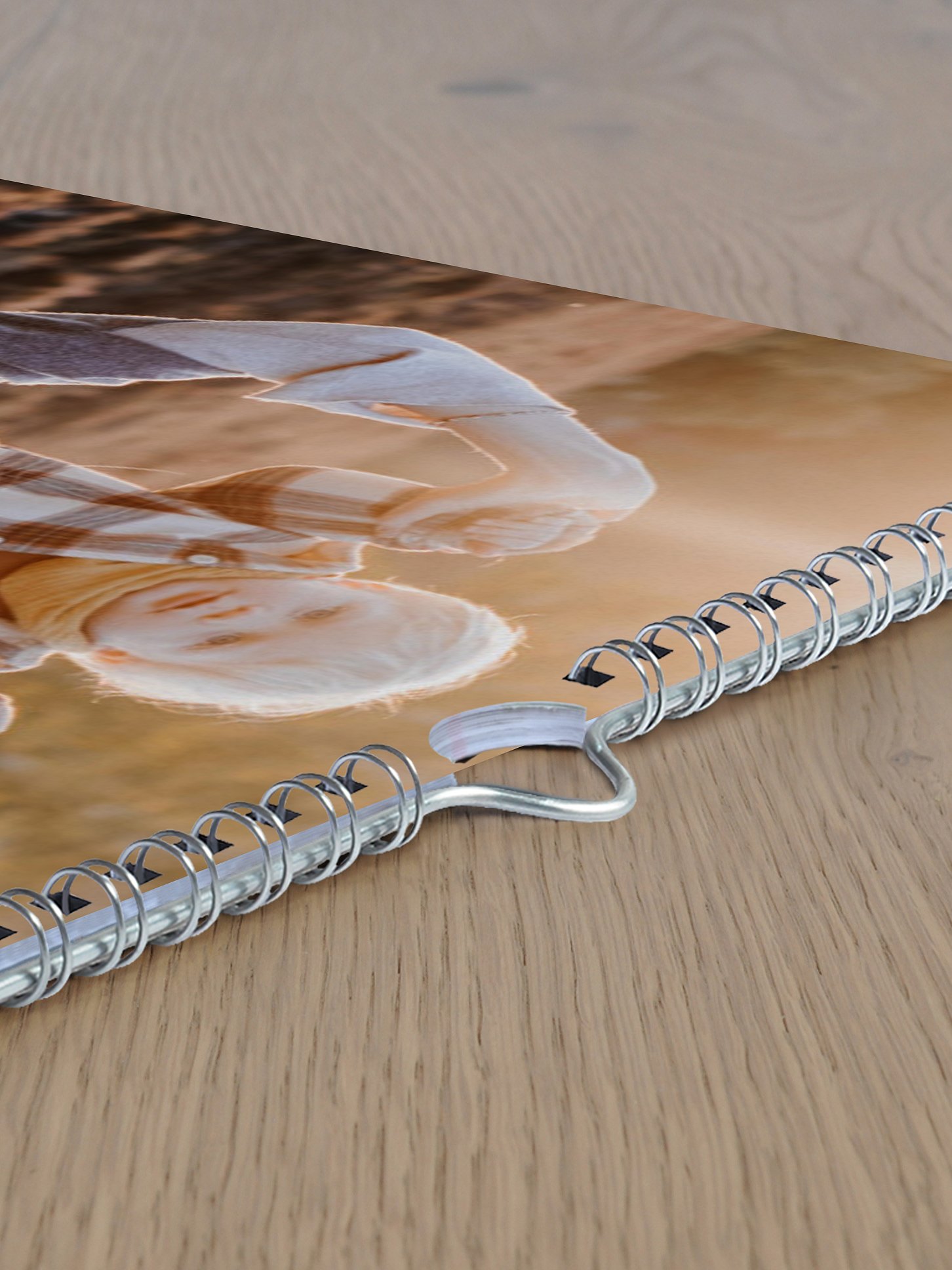 Wandkalender Bildreich