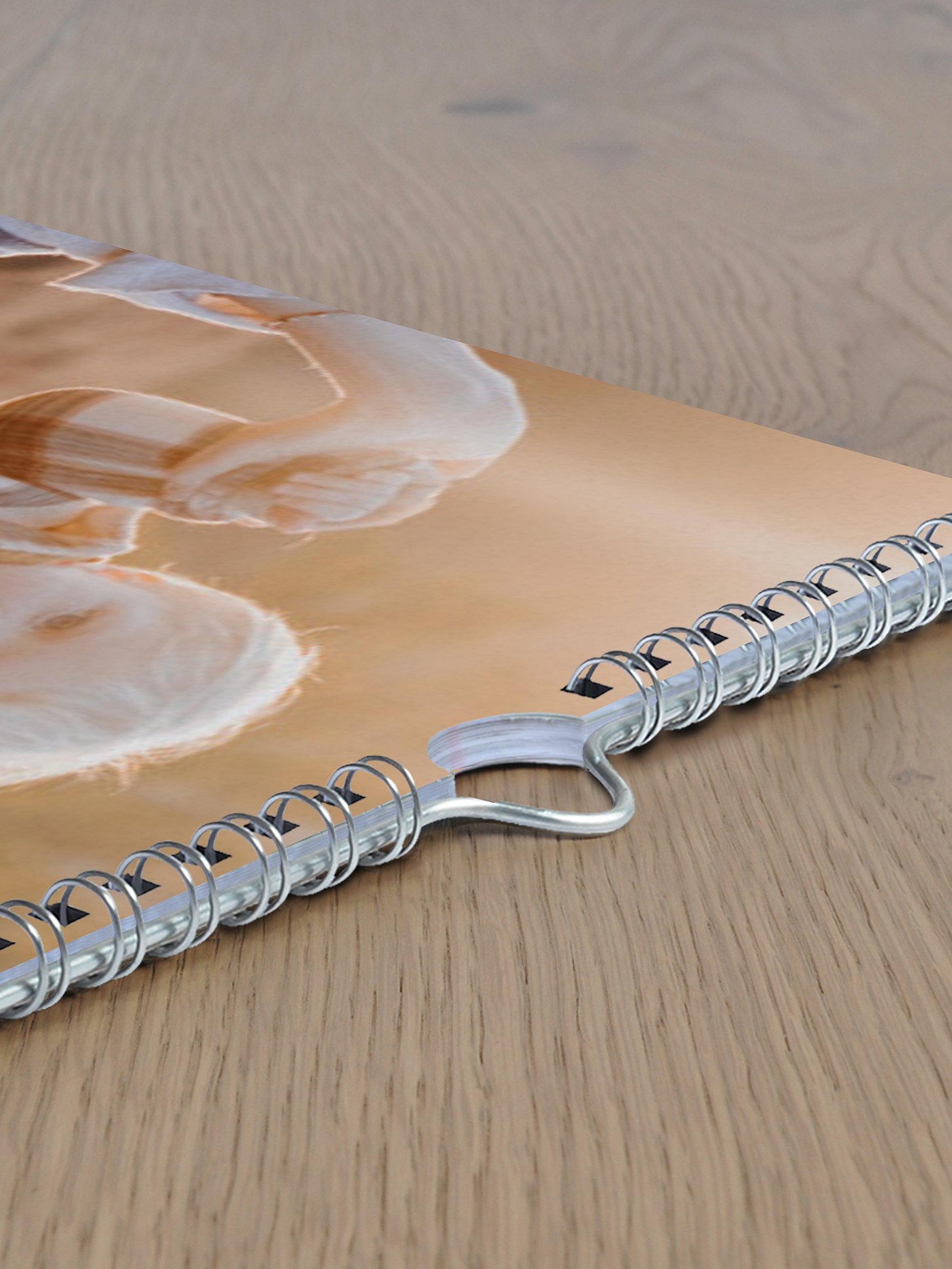 Wandkalender Bildreich
