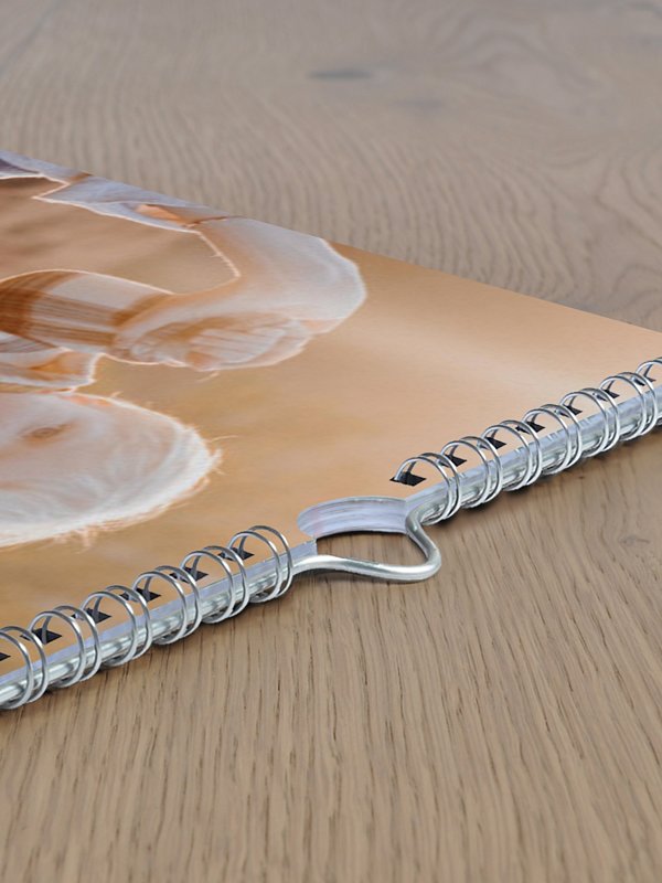 Wandkalender Bildreich