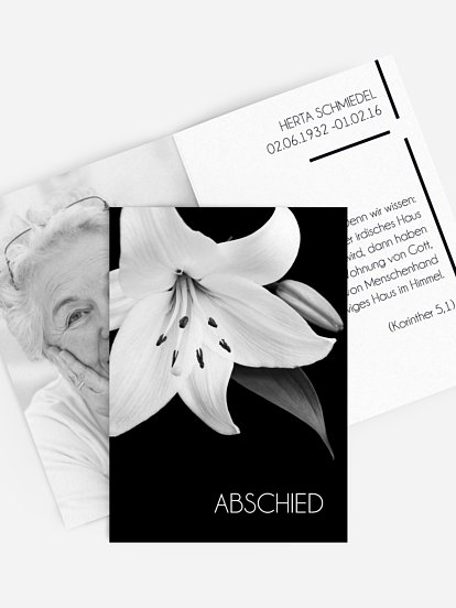 Sterbebild Trauerlilie