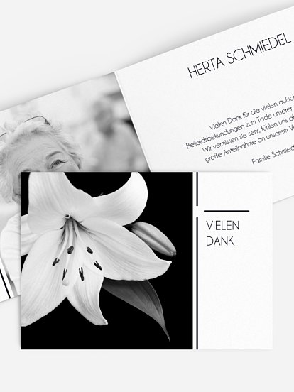 Trauerlilie Trauerlilie