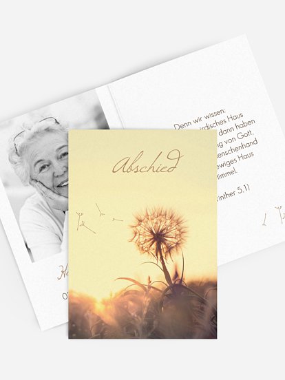 Abendlicht Abendlicht