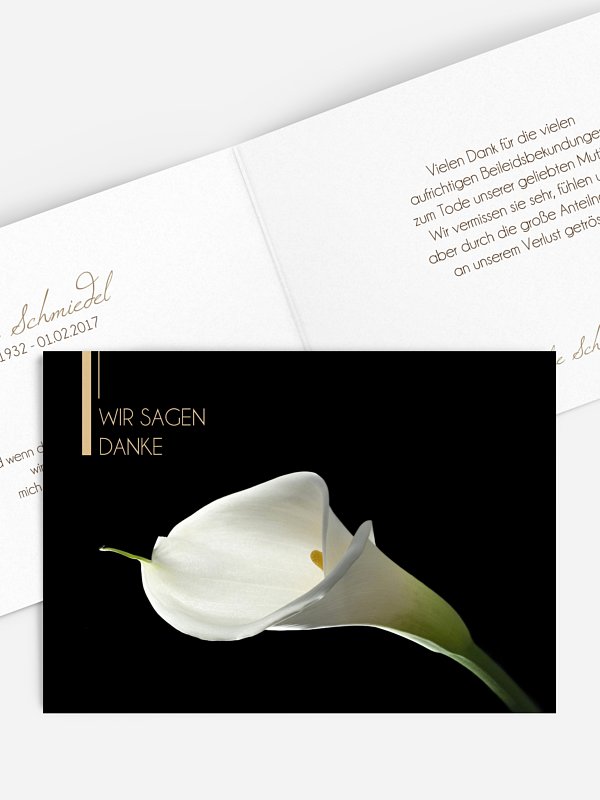 Calla