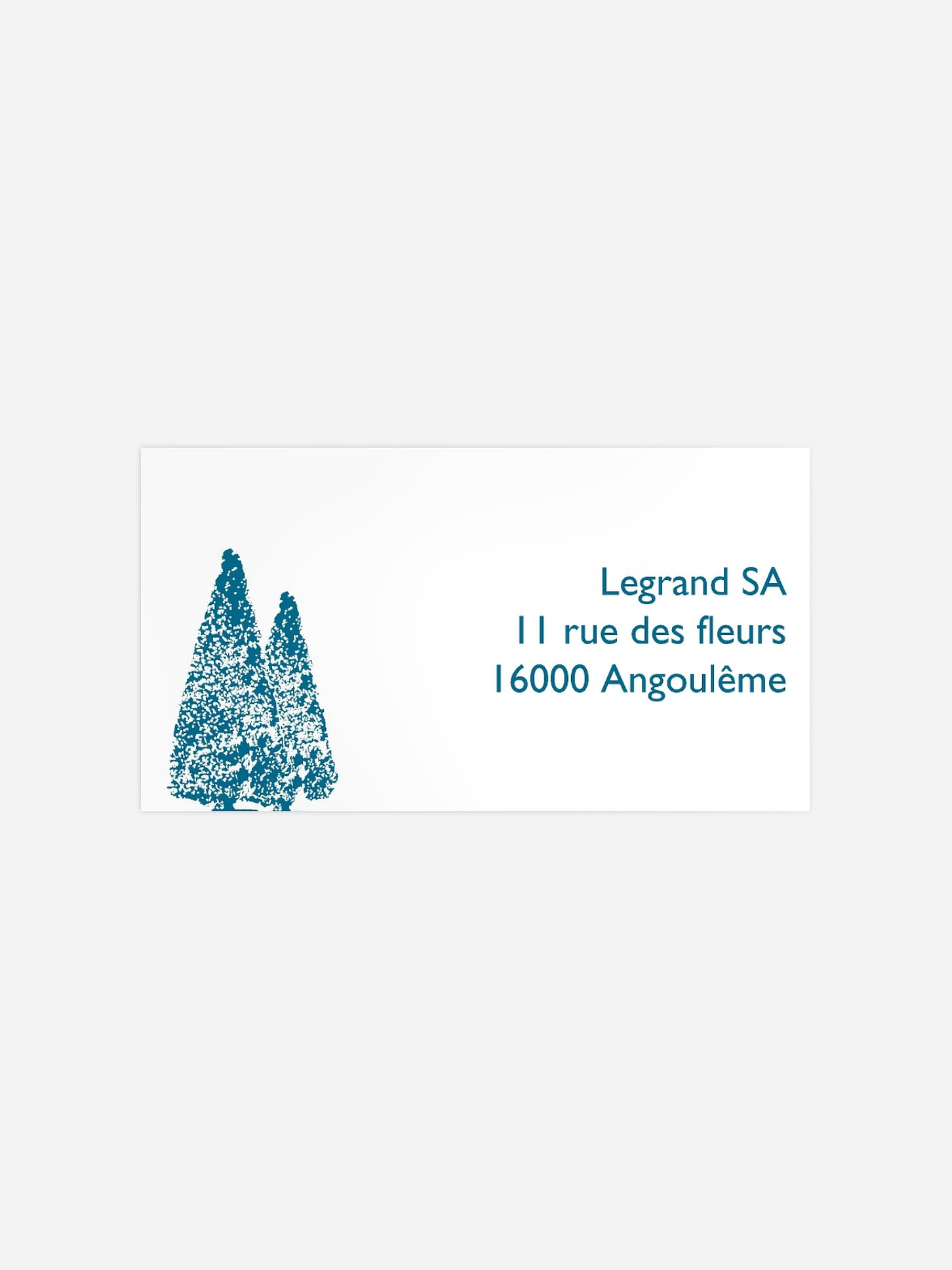 Étiquette destinataire voeux entreprise Noël express