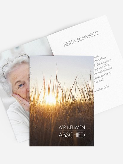 Ewiges Licht Ewiges Licht